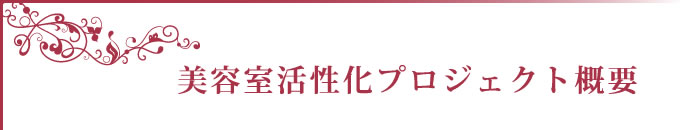 美容室・美容院活性化プロジェクト概要